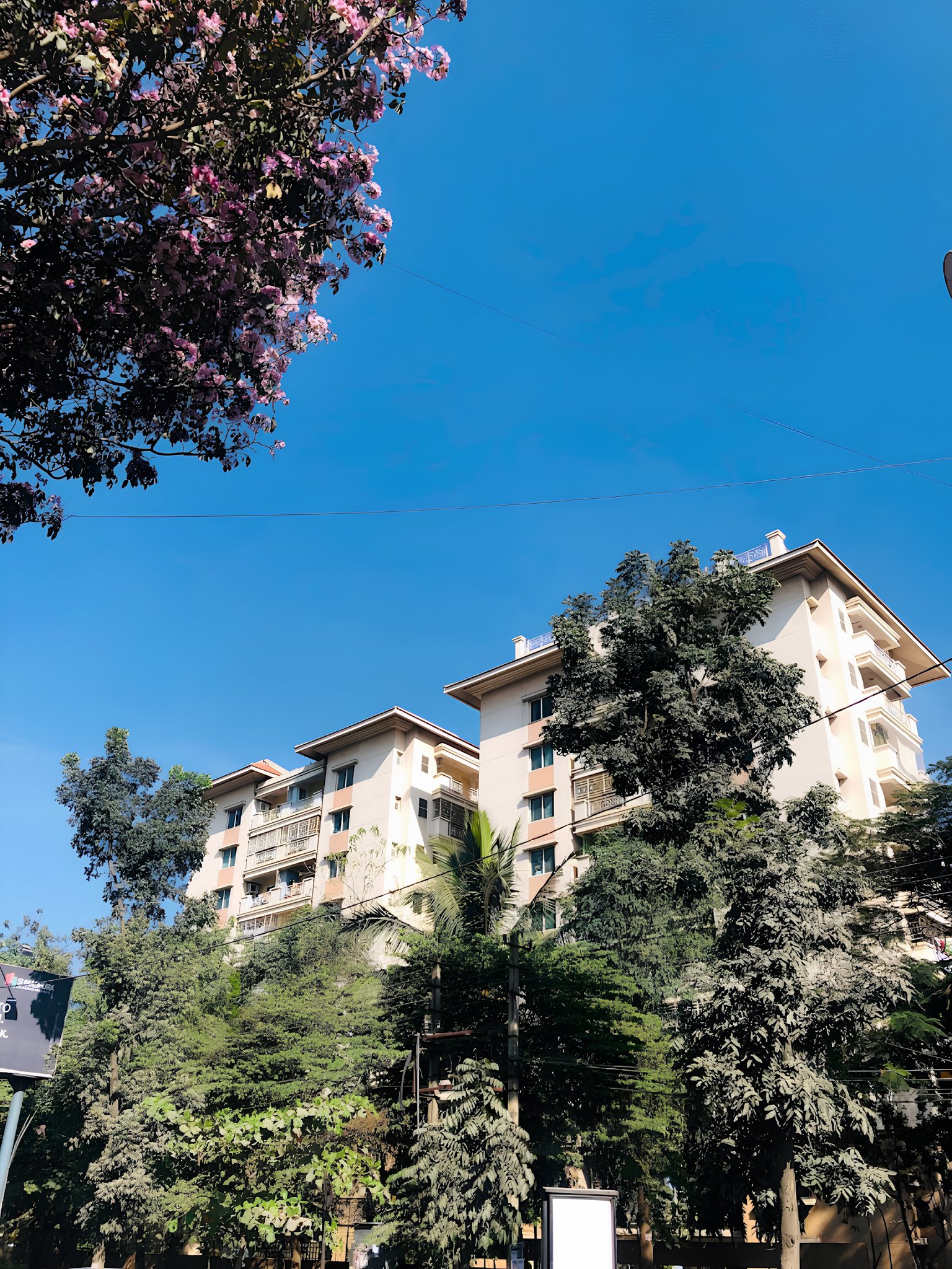 Flat in Whitefield