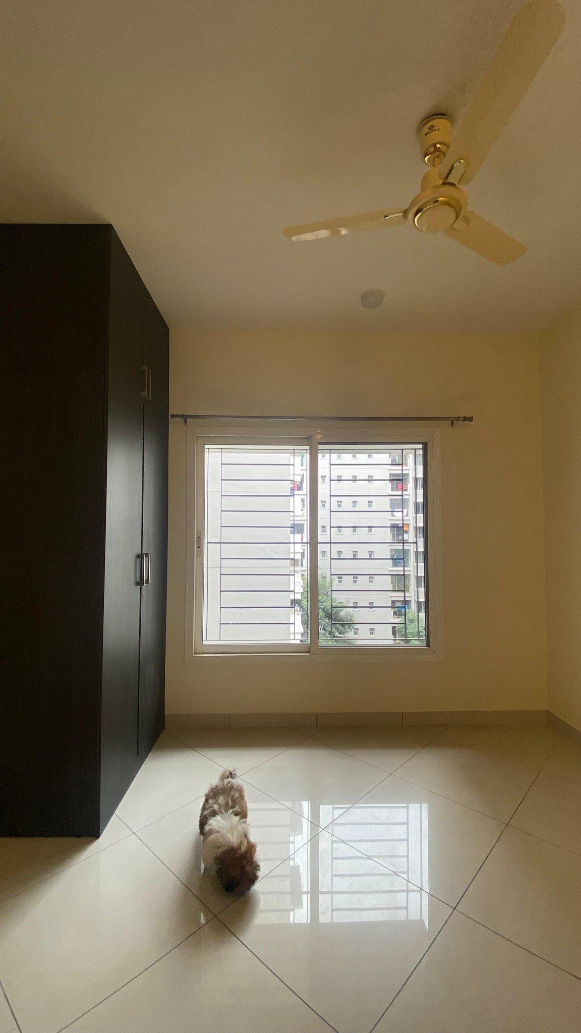 3 BHK in Koramangala photo 3
