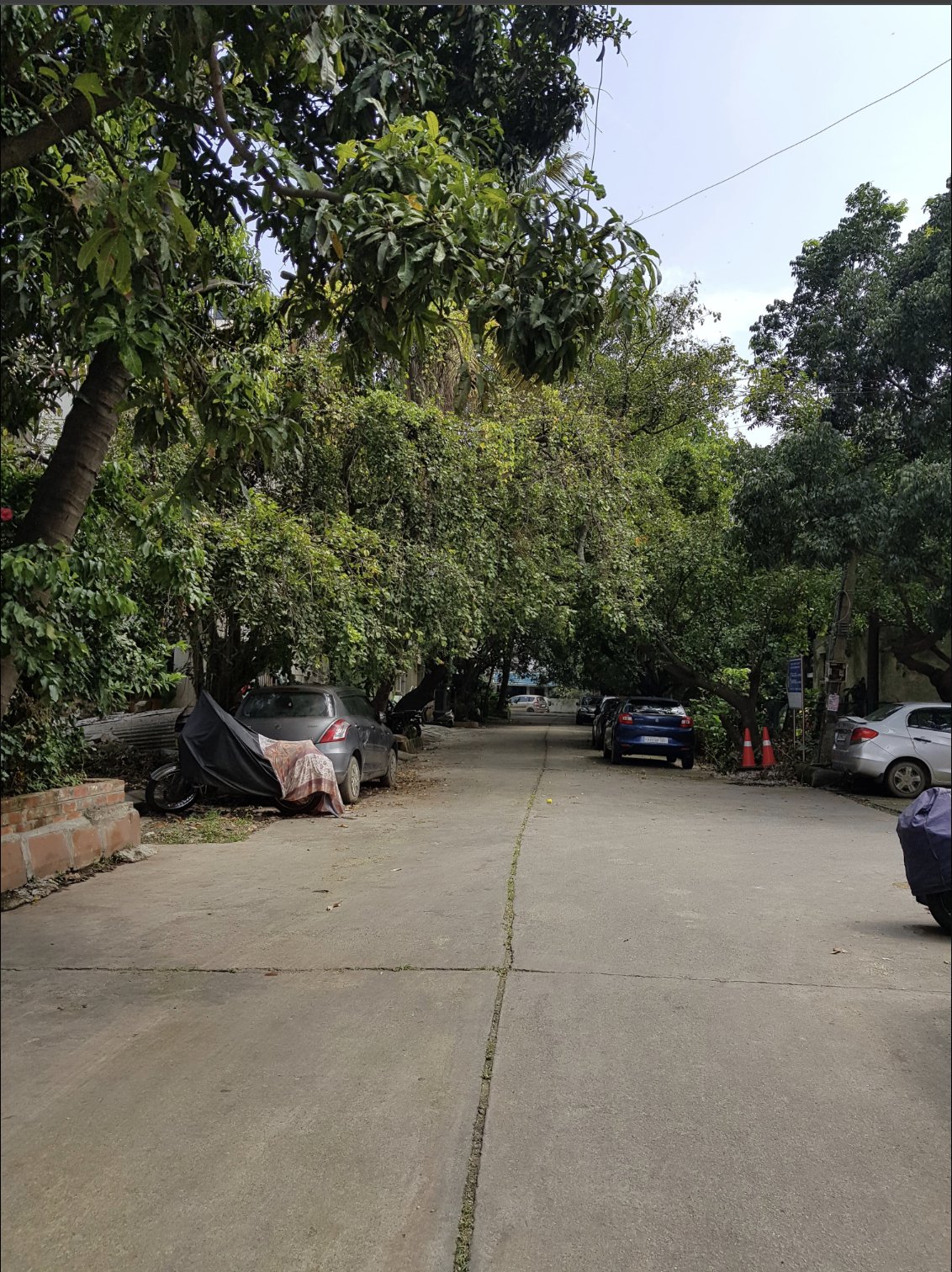 Flat in Koramangala photo 4